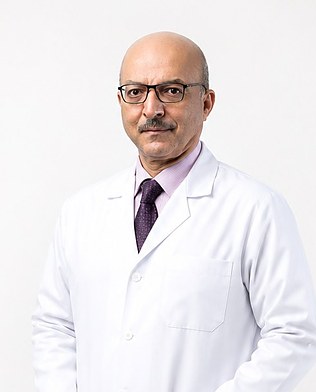 Dr. Mahmoud Mostafa Ashour
